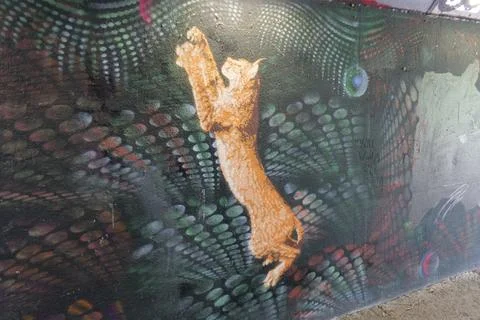 Graffiti Wild cat Stock Photos