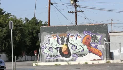Graffitti Los Angeles Stock Footage 11372814