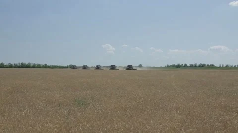 Grain and bread Stock Footage 45932642