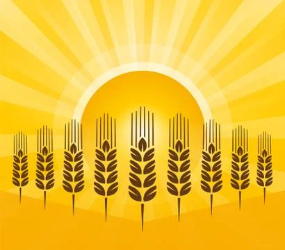 Grain background with sun rays Stock Illustration