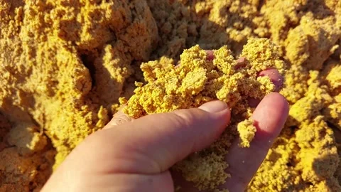 Grain Bard Waste Being Handled and Observed in a Close Up Setting Stock Footage 345365126