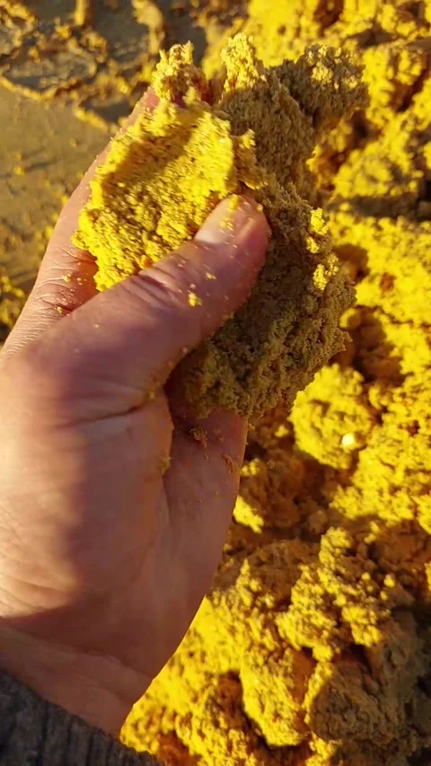 Grain Bard Waste DDGS Handling and Testing Using Hands on the Farm in Sunligh Stock Footage 345365122