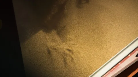 Grain being bulk loaded onto a ship at an Australian port. Stock Footage 86900325