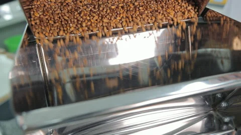 Grain being poured and filtered through a machine, A close-up view of grains Stock Footage 281482948