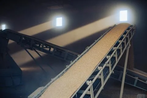 Grain being transported on conveyor belt to the granary Stock Photos