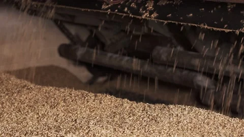 Grain bin. cleaning grain for making beer. close-up. Video stock 159078027