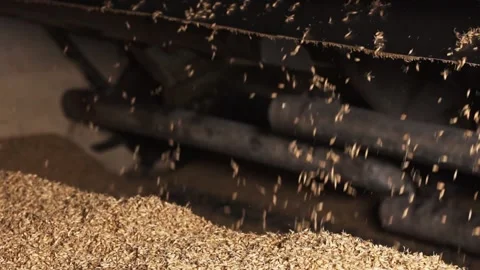 Grain bin. cleaning grain for making beer. close-up. Stock-Footage 159078411