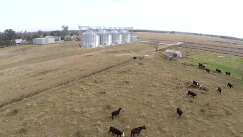 Grain Bins08 Stock Footage 158172053