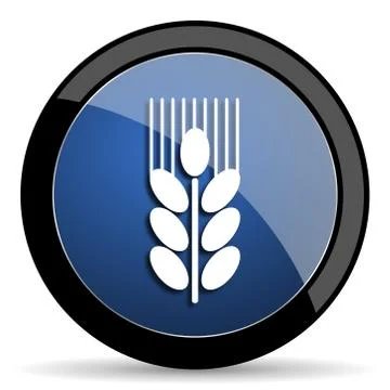 Grain blue circle glossy web icon on white background, round button for inter Stock Illustration