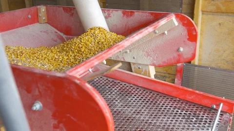 Grain Cleaner Side Stock Footage 115794512