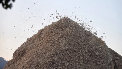 Grain Cleaning Machine Working in Field Video stock 100279299