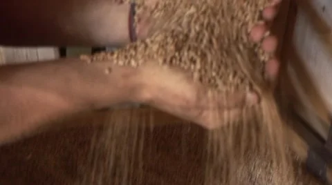 Grain close Stock Footage 1070383