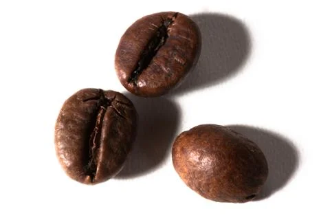 Grain of coffee, beans. White background Stock Photos