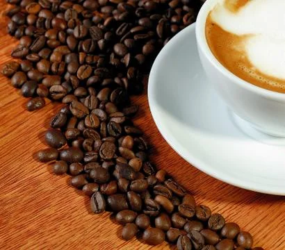 Grain of coffee 写真素材