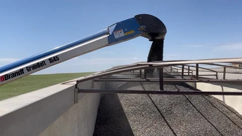 Grain conveyor Stock Footage 195571844