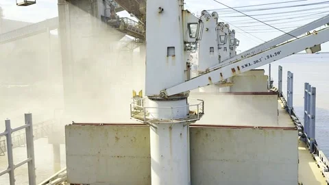 Grain dust Stock Footage 327986655