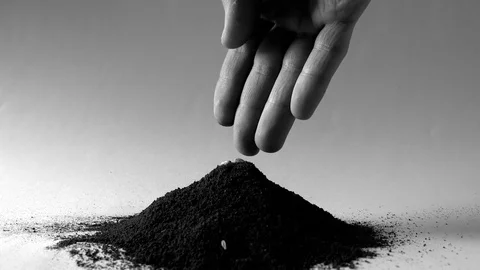 Grain in the earth Stock Footage 73631836