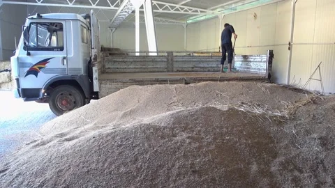 Grain elevator after truck delivered and unloaded wheat Stock Footage 155289128