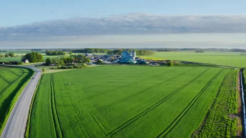 Grain elevator, agricultural silos, biogas production plants. Aerial view. Stock-Footage 285044284