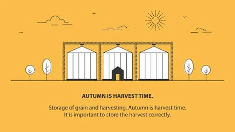 The grain elevator. Agriculture. Vector linear illustration Ilustración de archivo