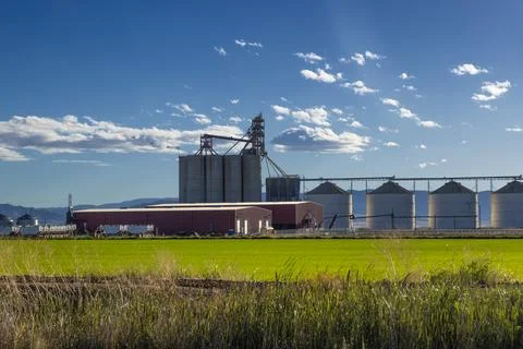 Grain elevator and silos in the San Joaquin Valley, California, USA Stock Photos