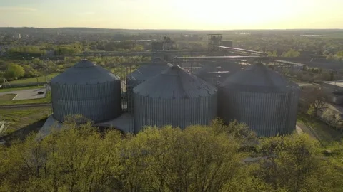 Grain elevator business with large storage bins of corn, grain Stock Footage 153530038