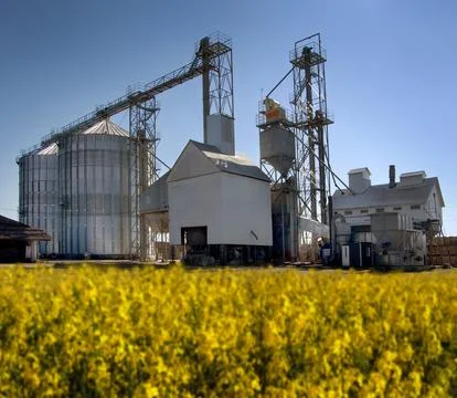 Grain elevator complex for receiving, cleaning, drying and long-term storage Stock Photos