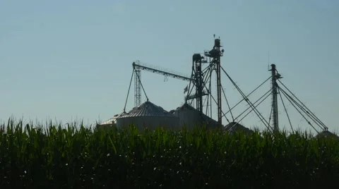 Grain Elevator Stock Footage 53572615