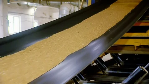 The Grain Elevator. The Grain Moves along the Conveyor Belt. Wheat Grain on the Stock Footage 81636893