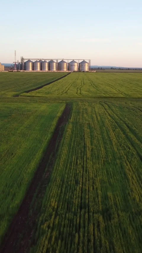 Grain elevator. Metal grain elevator in agricultural zone. Aerial vertical view Stock Footage 270153282
