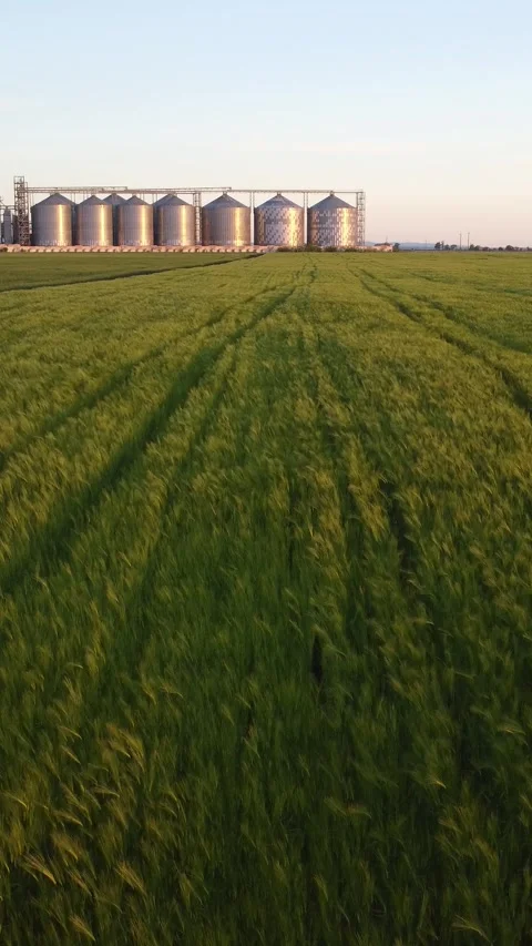 Grain elevator. Metal grain elevator in agricultural zone. Aerial vertical view Stock Footage 271735857