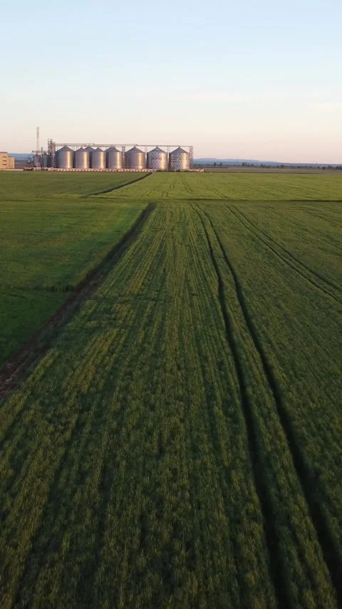 Grain elevator. Metal grain elevator in agricultural zone. Aerial vertical view Stock Footage 274706265