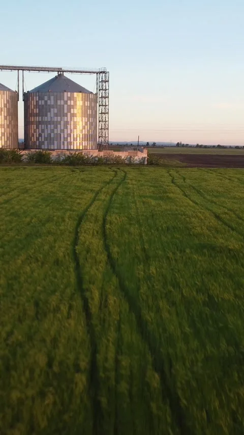 Grain elevator. Metal grain elevator in agricultural zone. Aerial vertical view Stock Footage 275496263