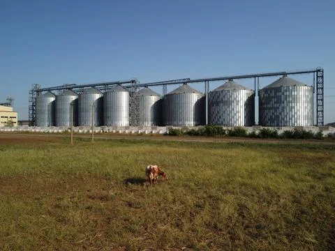 Grain elevator. Metal grain elevator in agricultural zone. Agriculture storage Foto stock