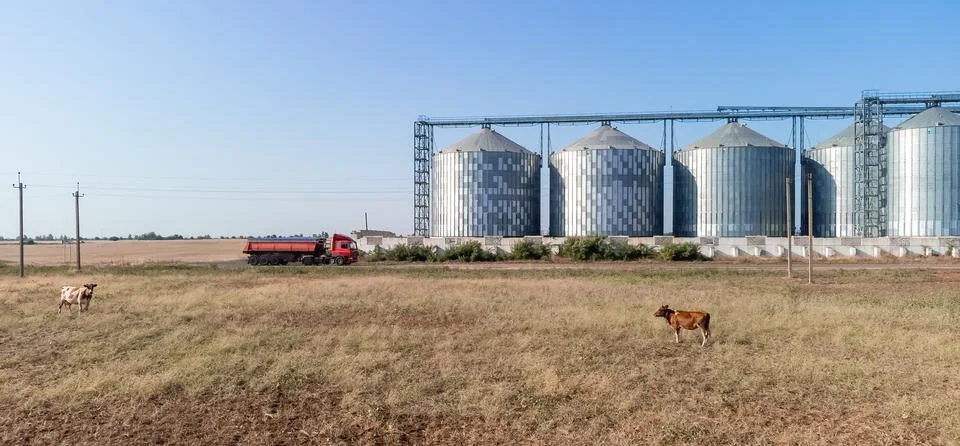 Grain elevator. Metal grain elevator in agricultural zone. Agriculture storage Foto stock