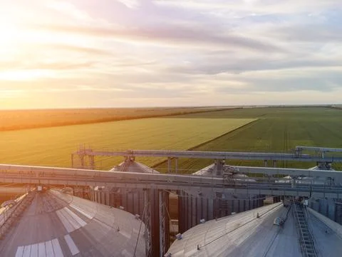 Grain elevator. Metal grain elevator in agricultural zone. Agriculture storage Foto stock