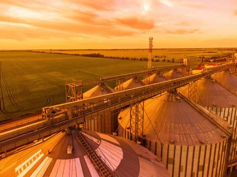 Grain elevator. Metal grain elevator in agricultural zone. Agriculture storage Foto stock