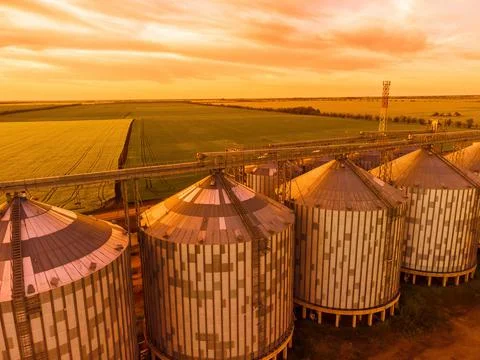 Grain elevator. Metal grain elevator in agricultural zone. Agriculture storage Foto stock
