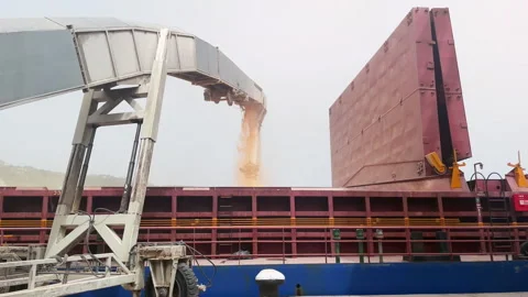 Grain elevator in port. Grain wheat or corn loading to bulker ship cargo hold Stock Footage 275091587