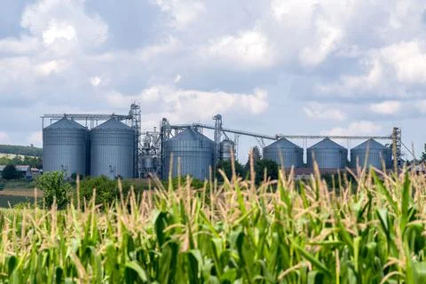 Grain elevator silos. Stock Photos