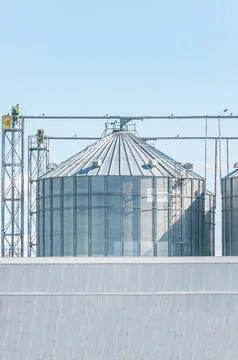 Grain elevator for storing wheat grain on a blue sky background Stock Photos