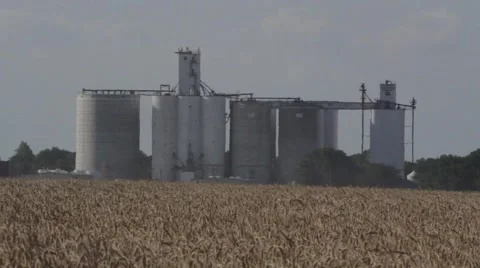 Grain Elevator - Wheat Harvest Stock Footage 65026166