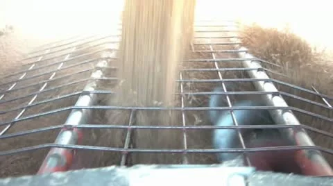 Grain Emptied Off of Truck 스톡 동영상 12585962