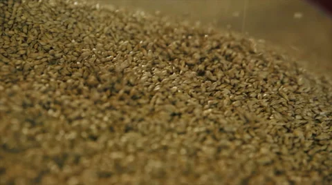 Grain falling down in slow motion 動画素材 40243233