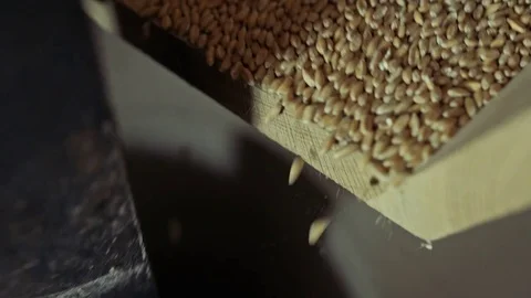 Grain falling out a through inside a concrete wheel to be pulvered into flour Stock Footage 85215492