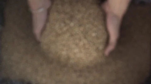 The grain falls from above Stock Footage 73117690