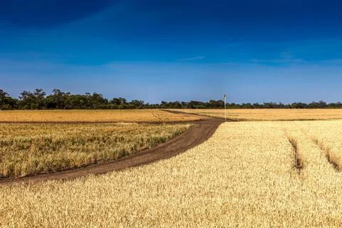 Grain farm in Moree Stock Photos