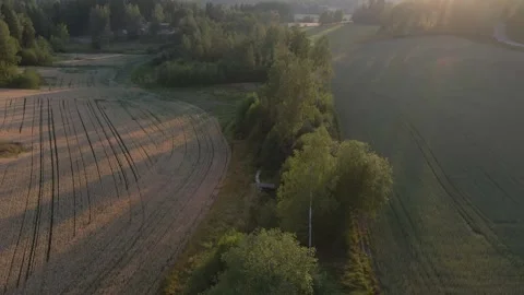 Grain Field Aerial Sunset Stock Footage 248296511
