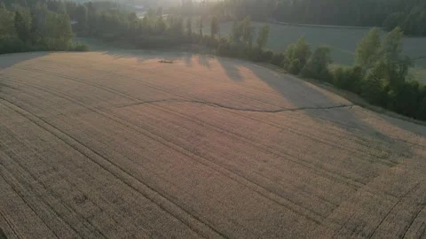 Grain Field Aerial Sunset Stock Footage 248296520