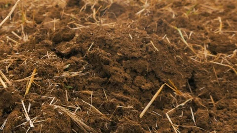 Grain field after disc harrowing Stock-Footage 95392373